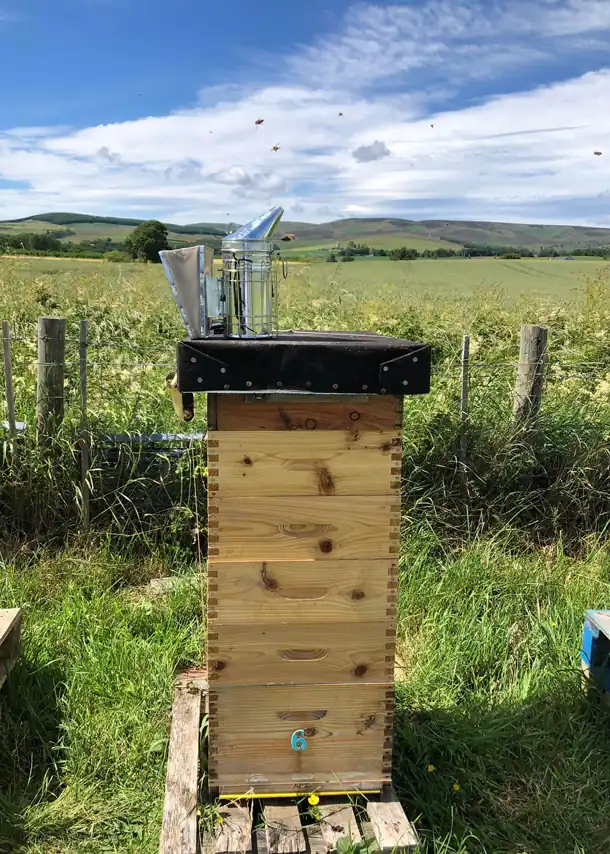 Hive and hills in the background